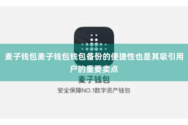 麦子钱包麦子钱包钱包备份的便捷性也是其吸引用户的重要卖点
