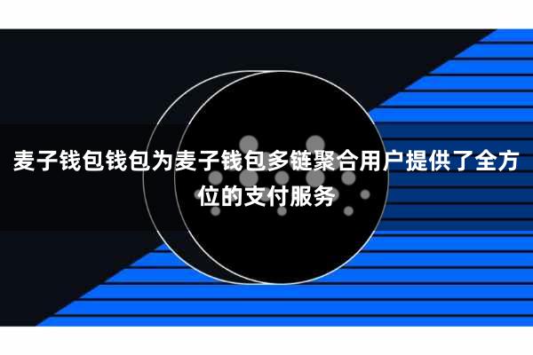 麦子钱包钱包为麦子钱包多链聚合用户提供了全方位的支付服务