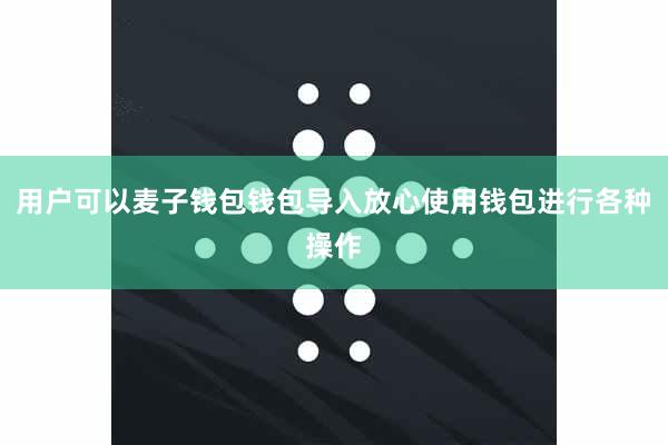 用户可以麦子钱包钱包导入放心使用钱包进行各种操作