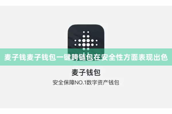 麦子钱麦子钱包一键跨链包在安全性方面表现出色
