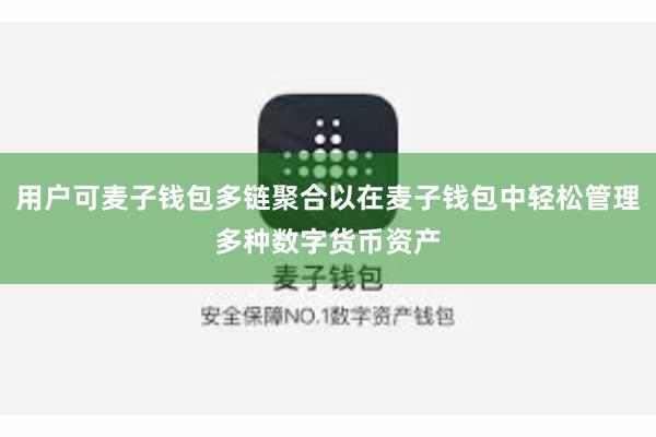 用户可麦子钱包多链聚合以在麦子钱包中轻松管理多种数字货币资产
