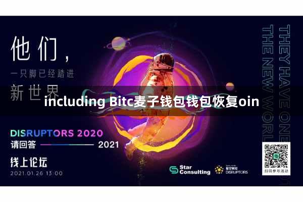 including Bitc麦子钱包钱包恢复oin
