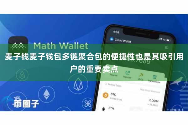 麦子钱麦子钱包多链聚合包的便捷性也是其吸引用户的重要卖点