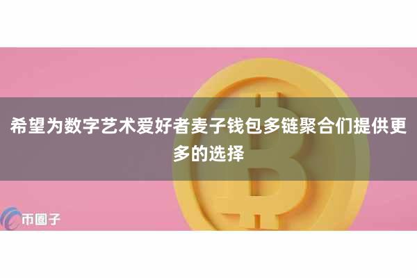 希望为数字艺术爱好者麦子钱包多链聚合们提供更多的选择