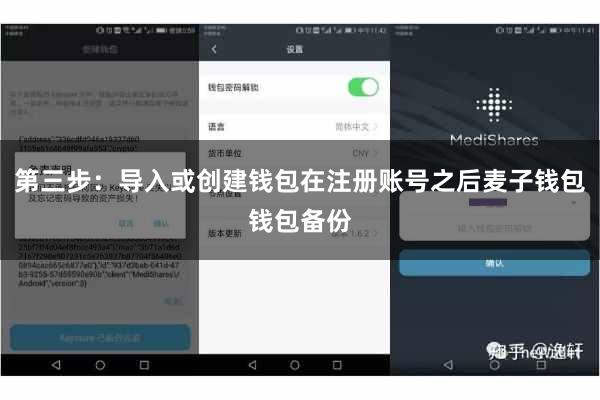 第三步：导入或创建钱包在注册账号之后麦子钱包钱包备份
