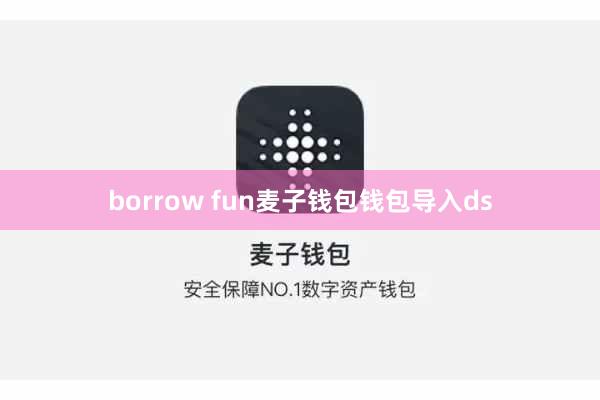 borrow fun麦子钱包钱包导入ds