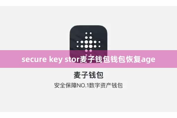 secure key stor麦子钱包钱包恢复age