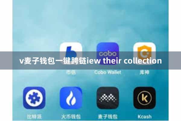 v麦子钱包一键跨链iew their collection