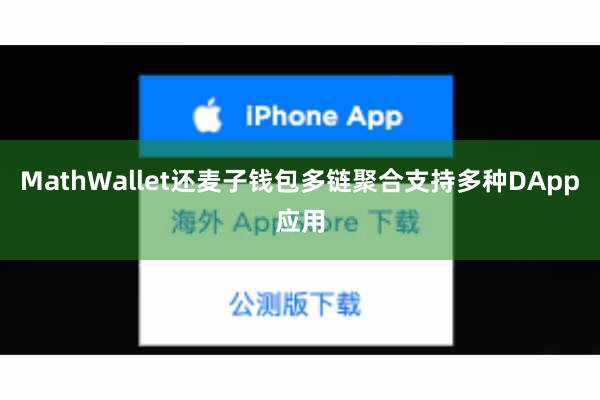 MathWallet还麦子钱包多链聚合支持多种DApp应用