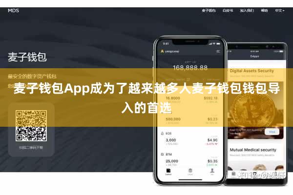 麦子钱包App成为了越来越多人麦子钱包钱包导入的首选