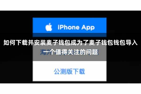 如何下载并安装麦子钱包成为了麦子钱包钱包导入一个值得关注的问题