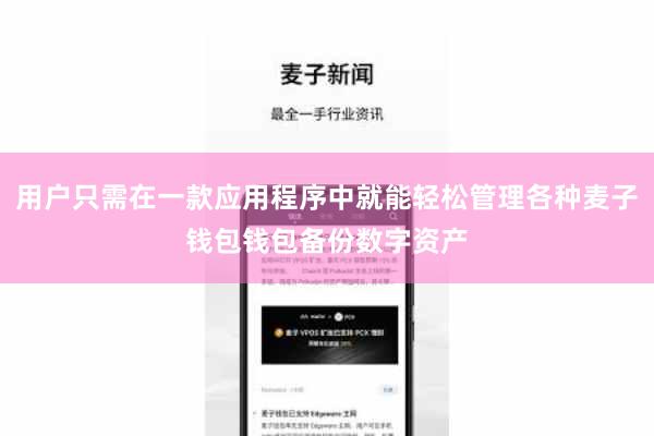 用户只需在一款应用程序中就能轻松管理各种麦子钱包钱包备份数字资产
