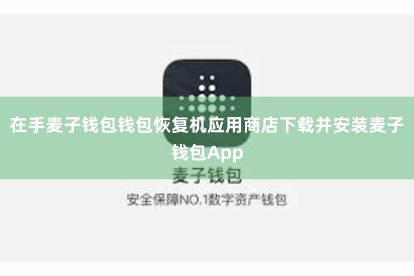 在手麦子钱包钱包恢复机应用商店下载并安装麦子钱包App