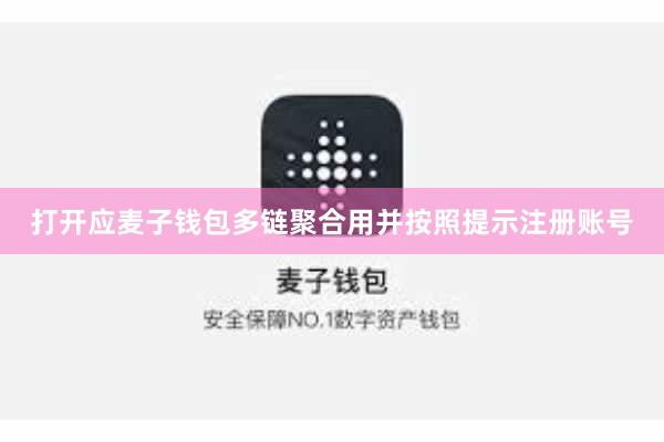 打开应麦子钱包多链聚合用并按照提示注册账号