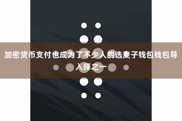 加密货币支付也成为了不少人的选麦子钱包钱包导入择之一