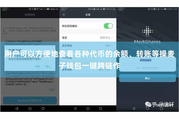 用户可以方便地查看各种代币的余额、转账等操麦子钱包一键跨链作