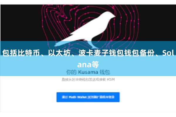 包括比特币、以太坊、波卡麦子钱包钱包备份、Solana等